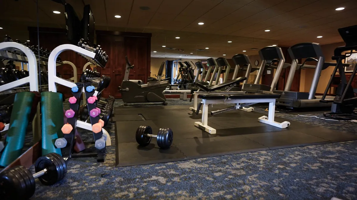 A well-lit workout space featuring a row of dumbbells, a weight bench, and several treadmills, ideal for both cardio and strength training.